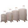 Continuous 4 Piece Hardside Expandable 8 Wheel Spinner Luggage Set with Soft-Pocket Carry-On (Crockery)