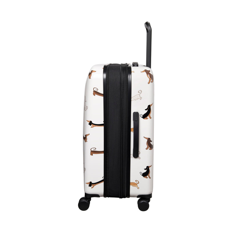 Sheen 31" Hardside Checked 8 Wheel Expandable Spinner (Cream Mini Dachshunds)